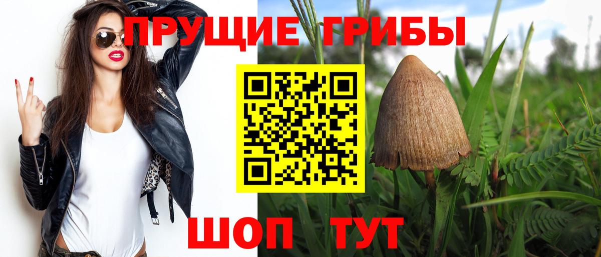 Псилоцибиновые грибы Magic Shrooms Черняховск